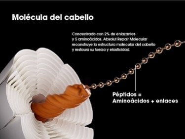 Absolut Repair Molecular